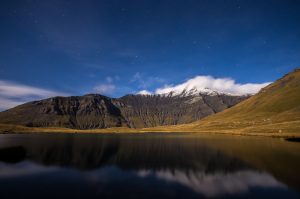 Le nez dans la brume