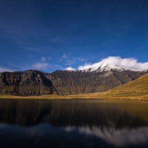 Le nez dans la brume