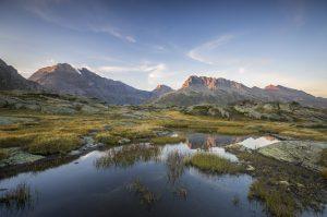 Une légère coloration II