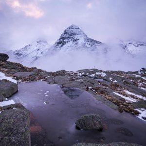 Les lauriers du Mont Seti