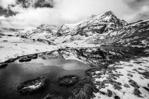 La neige y avait fait son nid