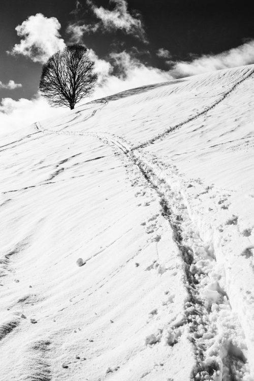 La sente à Maurice