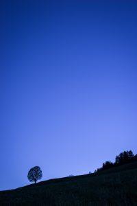 Le solitaire de la récré