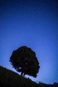 De la pente et des paillettes