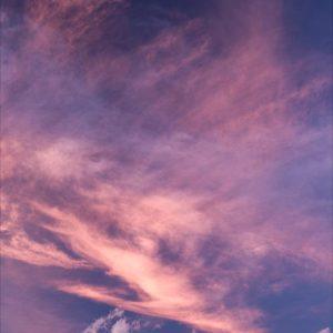 Les tourments du Castor