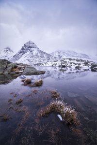 Du givre dans la barbe