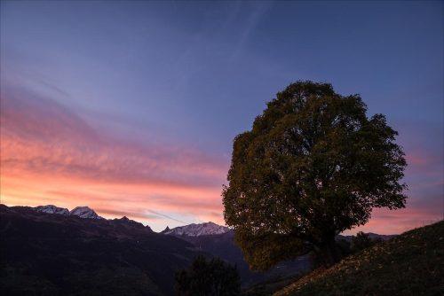 Maurice en automne