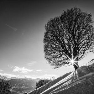Les pieds dans la meringue