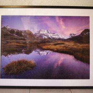 Tirage encadré "La rose du lac" n°5/30